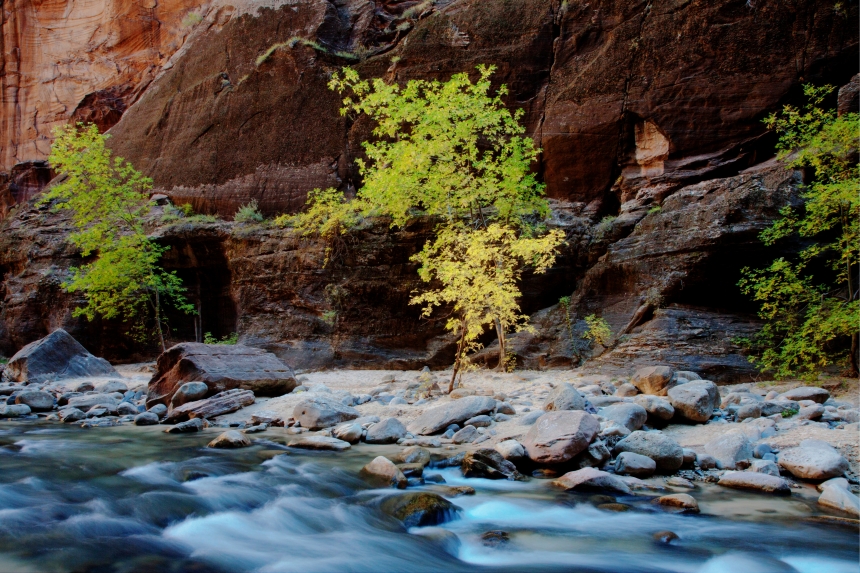 Zion National Park photography